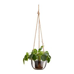 Cultivate Design Co Homewares - 商品