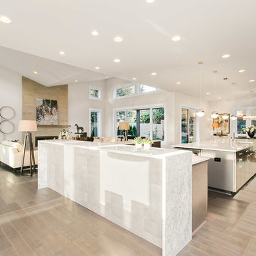 Greater Seattle Area | The Copenhagen Main Living