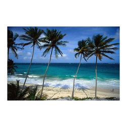 ArtisticHomeowner.com - Barbados Shore Wall Mural - Wallpaper