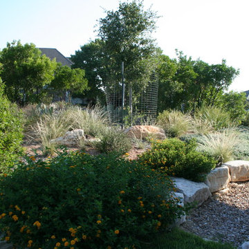 Natural Landscape in Northwest Hills