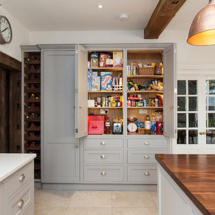 Contemporary kitchen pantry designs - Kitchen pantry - contemporary kitchen pantry idea in Hampshire