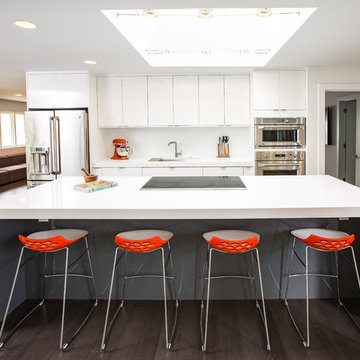 Ft. Thomas Modern Kitchen in White