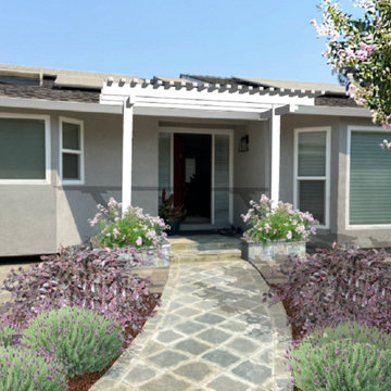 Foundation Plantings