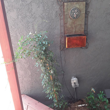 Los Angeles Back Yard