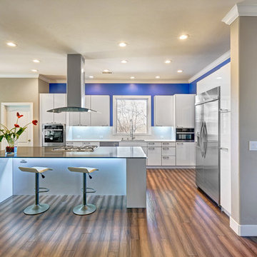 Colfax Contemporary Kitchen . Nar Fine Carpentry . Sacramento . El Dorado Hills