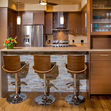 Vail Colorado Modern Kitchen Remodel - Echo Wood Veneer