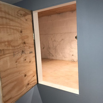 Basement Remodel