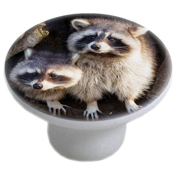 Raccoons in Tree Ceramic Cabinet Drawer Knob