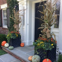 Landscape Ideas