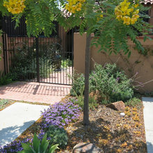 Front Yard Tudor Way House