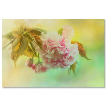 Jai Johnson 'Cherry Blossoms In Spring' Canvas Art, 24 x 16