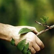 Anne Aquilina's photo