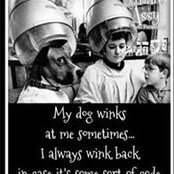 Diane Burridge's photo
