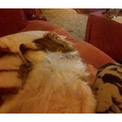 Foto von Judy Hedley
