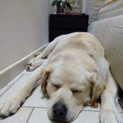 Sara Maresca's photo