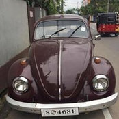 Michelle Taylor's photo