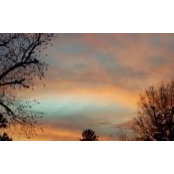 Jacqueline Brunson's photo