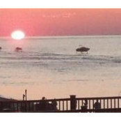 Brenda Osborn Pearse's photo