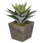 House of Silk Flowers, Inc. - Artificial Frosted Green Succulent in Grey-Washed Wood Cube - This contemporary artificial frosted green succulent is handcrafted by House of Silk Flowers. This plant will complement any decor, whether in your home or at the office. A professionally-arranged frosted green succulent is securely "potted" in a grey-washed wood cube pot (6" x 6" x 5 1/2" tall). It is arranged for 360-degree viewing. The overall dimensions are measured leaf tip to leaf tip, bottom of planter to tallest leaf tip: 11" tall x 9" diameter. Measurements are approximate, and will be determined by your final shaping of the plant upon unpacking it. No arranging is necessary, only minor shaping, with the way in which we package and ship our products. This item is only recommended for indoor use.