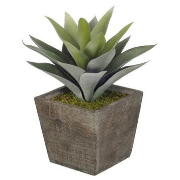Artificial Frosted Green Succulent in Grey-Washed Wood Cube