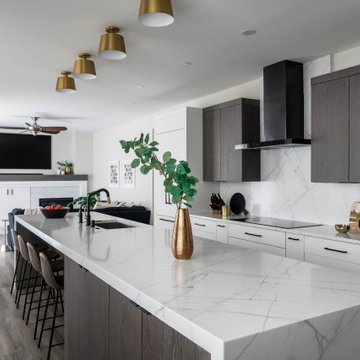 Updated Modern Kitchen