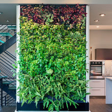 vertical garden
