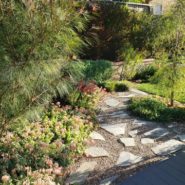 Los Angeles Modern Garden. Australian natives and drought tolerant design