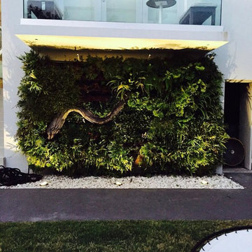 Vertical Gardens