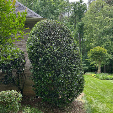 Landscaping