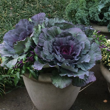 Seasonal Containers