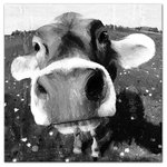 DDCG - Cow Close-Up Wall Art, 20"x20", Canvas - The Cow Close-Up Canvas Wall Art, 20x20 from our  Animals Collection showcases a black and white print of a close-up of a cow. This canvas helps you add some animal art to your living room. The solid front construction of each canvas ensures it does not stretch or sag.  The result is irresistible artistry that ensures a lasting impact on your home.