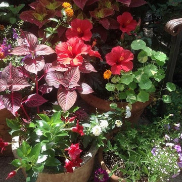 Summer pot
