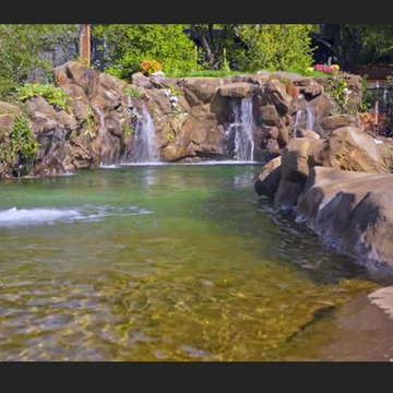 Natural Swimming Pool with Waterfalls and Live Fish