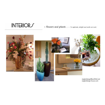 INTERIORS FOR REAL LIFE