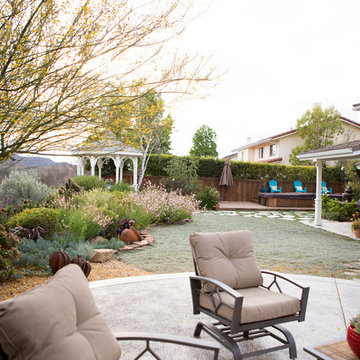 Xeriscape Landscape - Lush Green with Low-Water Plants