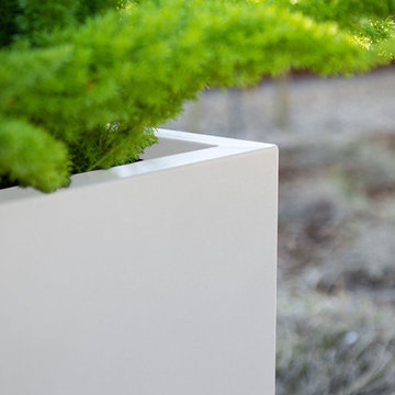 Metallic Series - Span