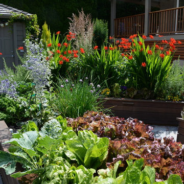 Raised Vegetable Bed / Ornamental Garden 2016