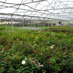 PLANT MATERIALS - Products