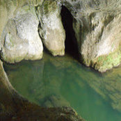Christoph Freund's photo
