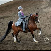 Kristin McElroy's photo