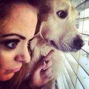 Amanda Allen's photo