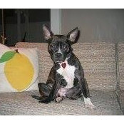 Erin Flaherty's photo