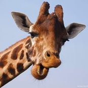 Adam Vernadakis's photo