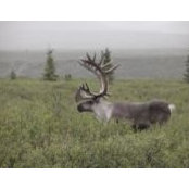 Matt Bird's photo