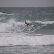 Martin Muddell's photo