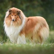 Daniela Kupke-Seidler's photo
