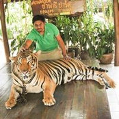 Prabhakaran Raj's photo
