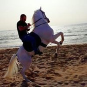 Hassan Bazzi's photo