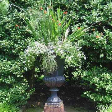 Container Gardens