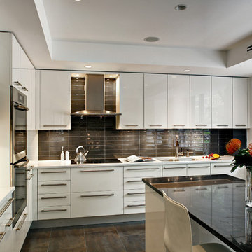 white contemporary kitchen